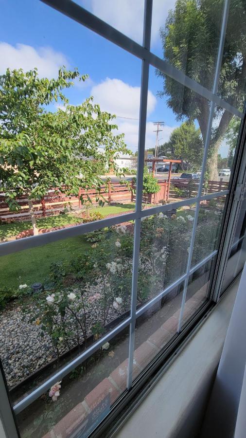 Large 1-Bedroom With Kitchen In Encino 로스앤젤레스 외부 사진